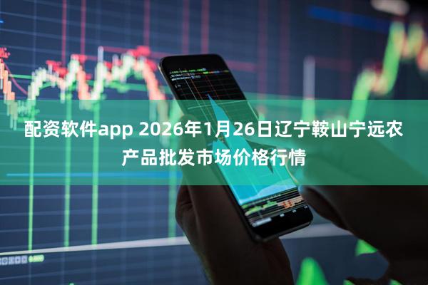 配资软件app 2026年1月26日辽宁鞍山宁远农产品批发市场价格行情