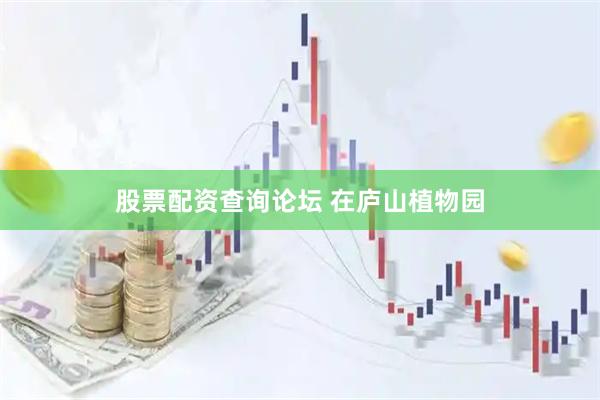股票配资查询论坛 在庐山植物园